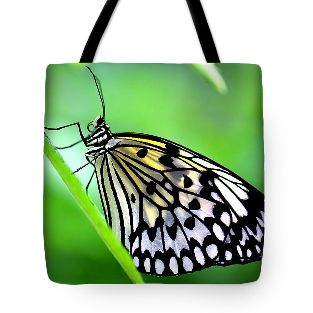 Butterfly Tote Bag featuring the photograph The Paper Kite or Rice Paper or Large Tree Nymph butterfly also known as Idea leuconoe by Amanda Mohler