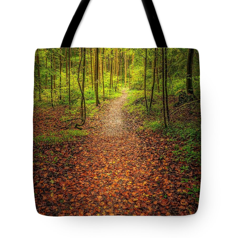 Land Tote Bag featuring the photograph The Path by Maciej Markiewicz