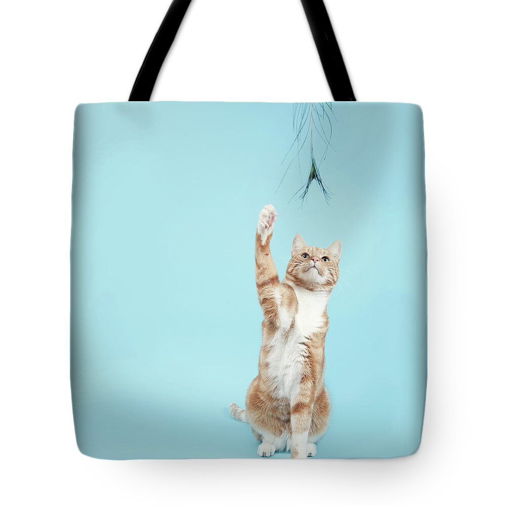 Pets Tote Bag featuring the photograph The Peacock Game by Paula Daniëlse