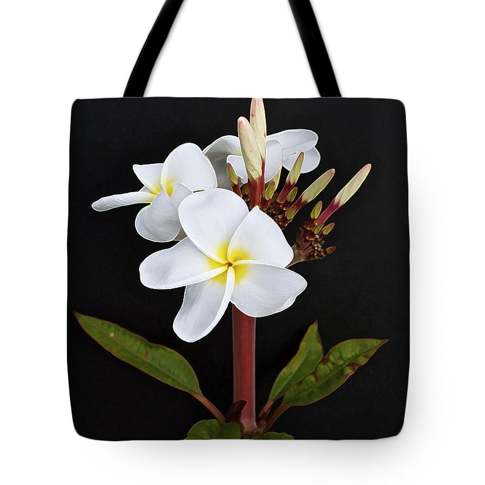 Plumeria Tote Bag featuring the photograph The Plumeria by Gwyn Newcombe