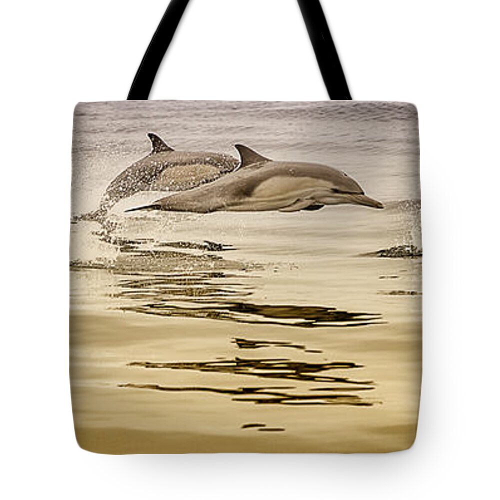 Dolphin Tote Bag featuring the photograph Dolphin Canvas Print, Photographic Print, Art Print, Framed Print, Greeting Card, iPhone Case, by David Millenheft
