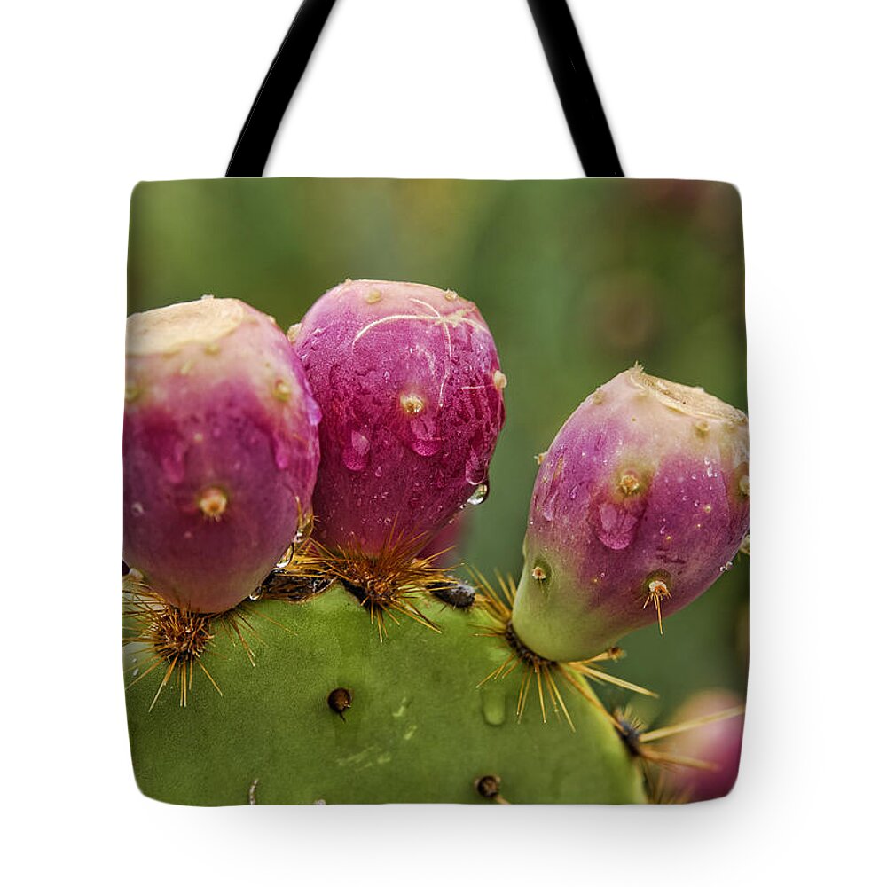 Prickly Pear Cactus Tote Bag featuring the photograph The Prickly Pear by Saija Lehtonen