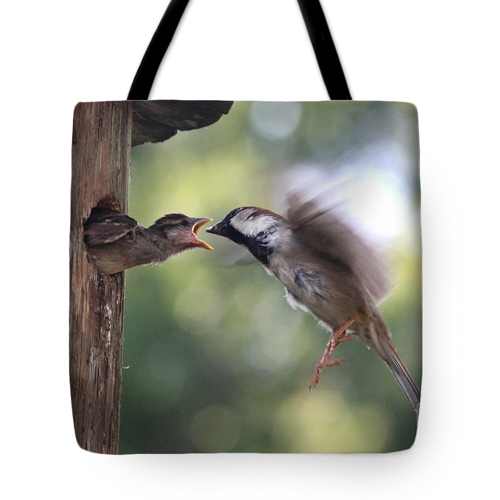 Bird Tote Bag featuring the photograph The Reach by Jayne Carney