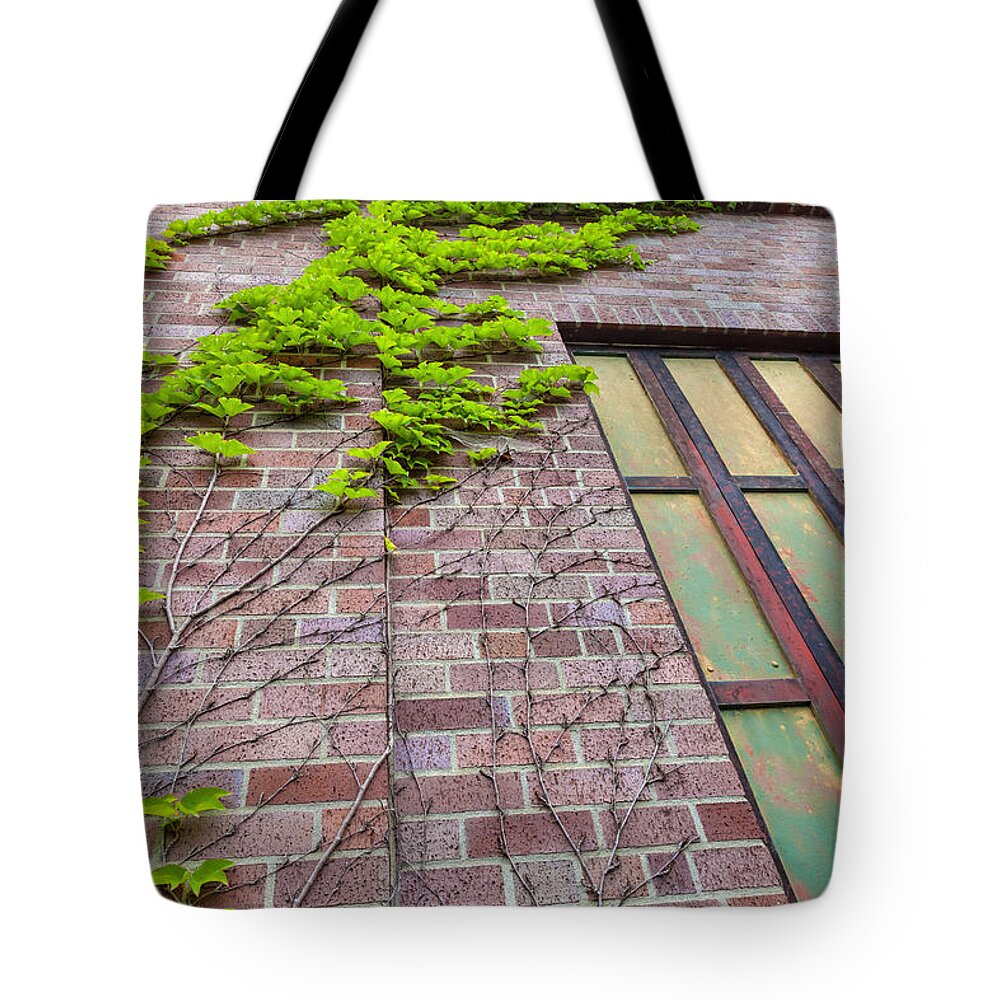 Nature Tote Bag featuring the photograph The Red Door by Jonathan Nguyen