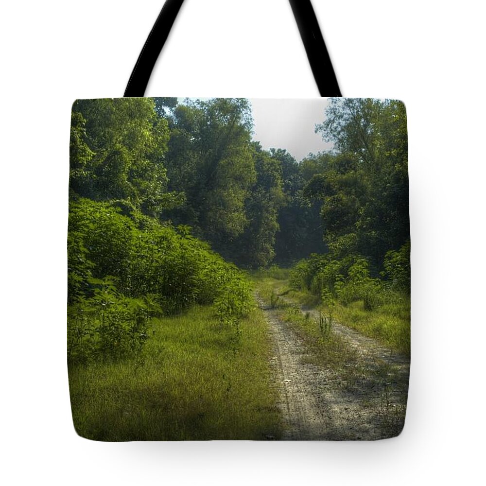 Brandywine Island Tote Bag featuring the photograph The Road Less Travelled by DArcy Evans