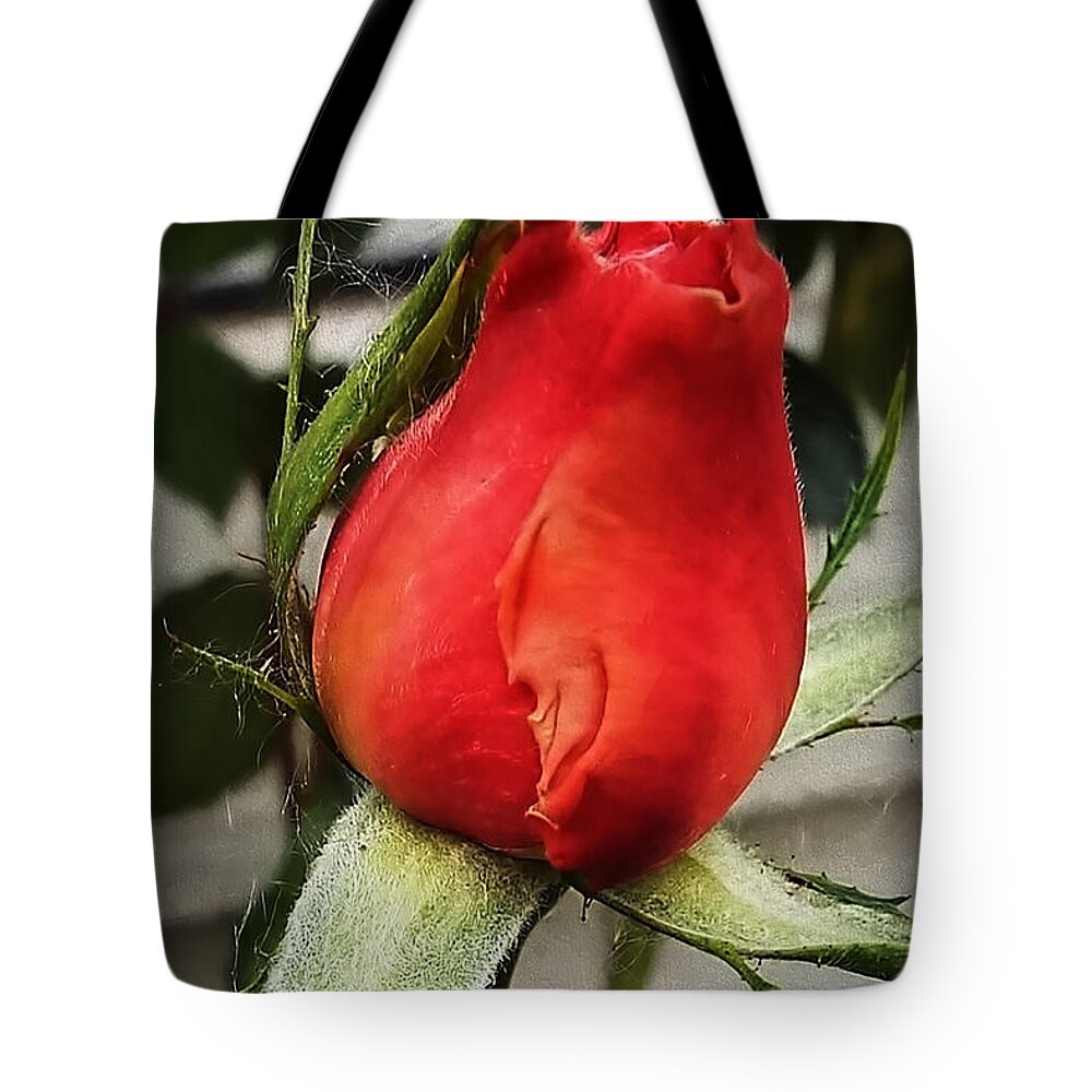 Rose Tote Bag featuring the digital art The Rose bud by Cathy Anderson