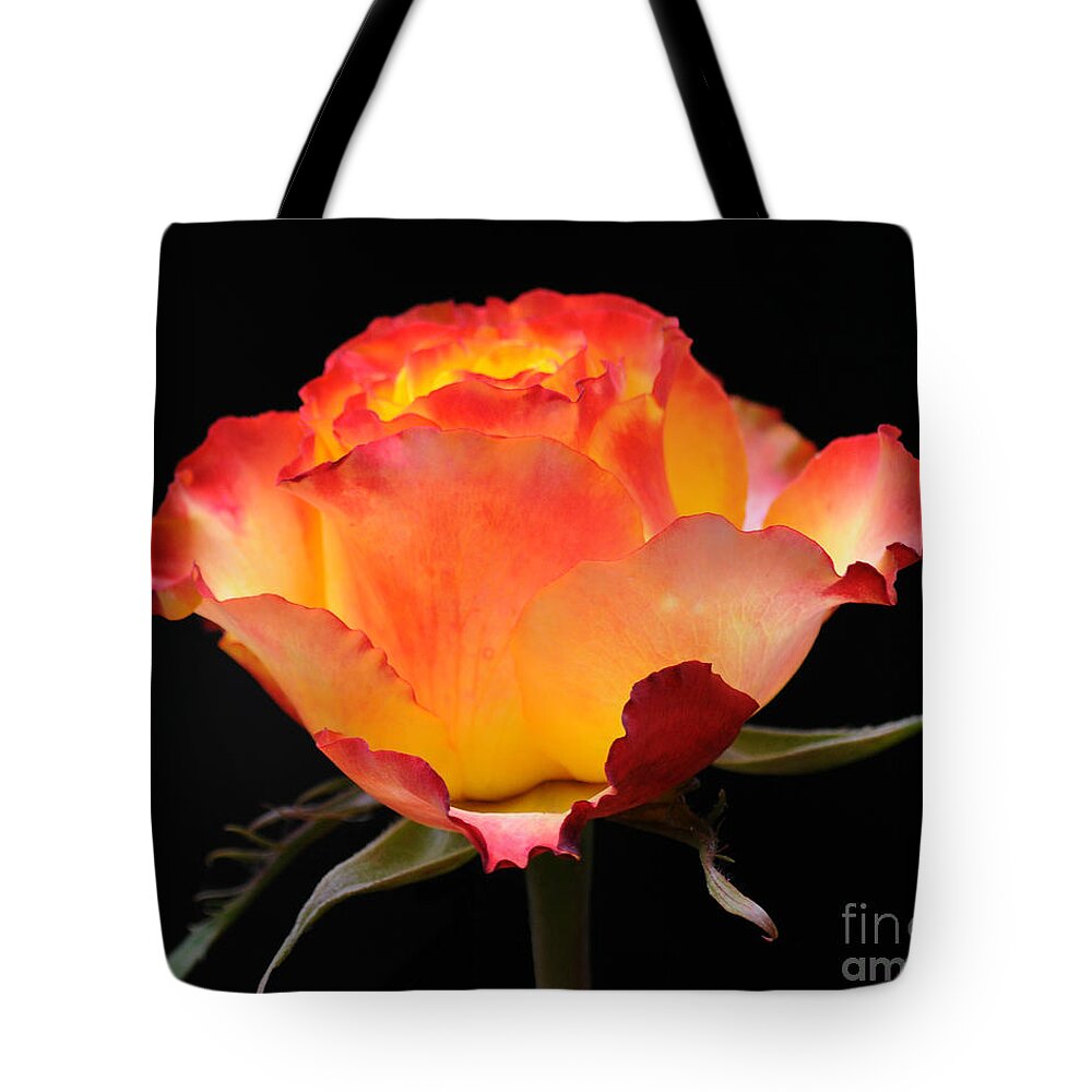 Rose Tote Bag featuring the photograph The Rose by Vivian Christopher