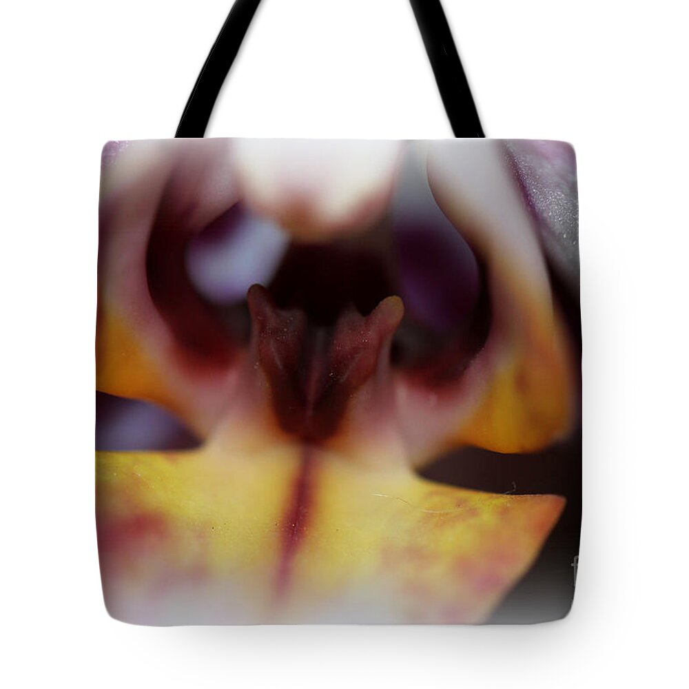 Orchid Tote Bag featuring the photograph The Sleeping Bat by C Ray Roth