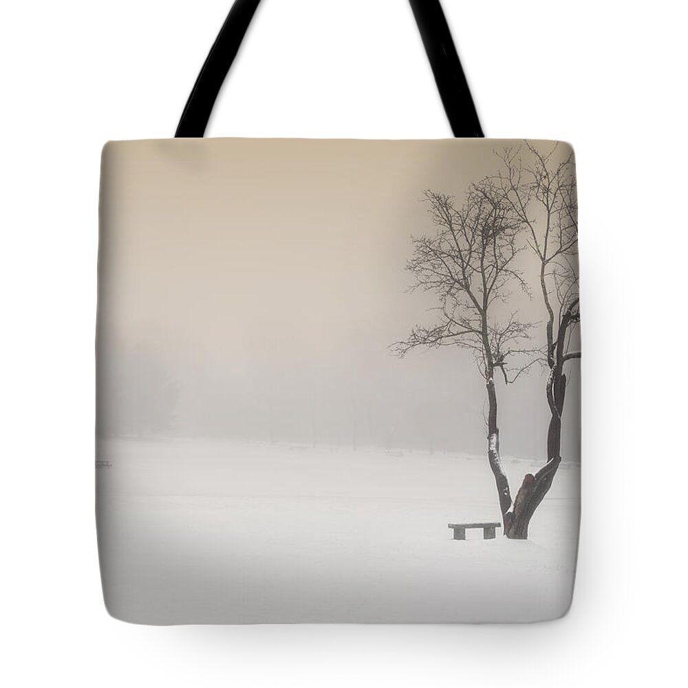 Winter Tote Bag featuring the photograph The Solitude of Winter by Bill Wakeley