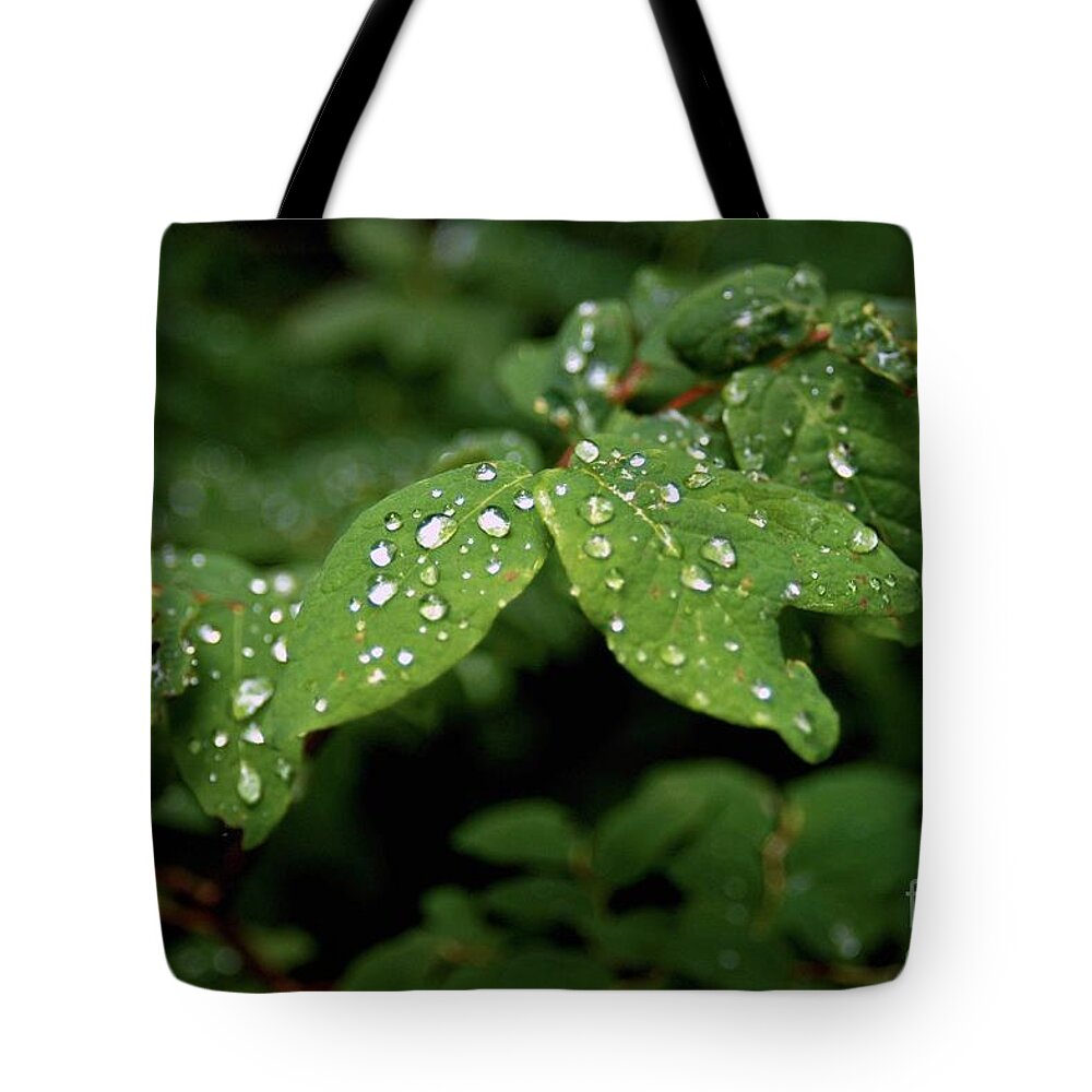 Alaska Tote Bag featuring the photograph The South East by Joseph Yarbrough