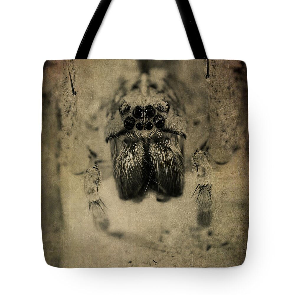Spider Tote Bag featuring the photograph The Spider Series XIII by Marco Oliveira