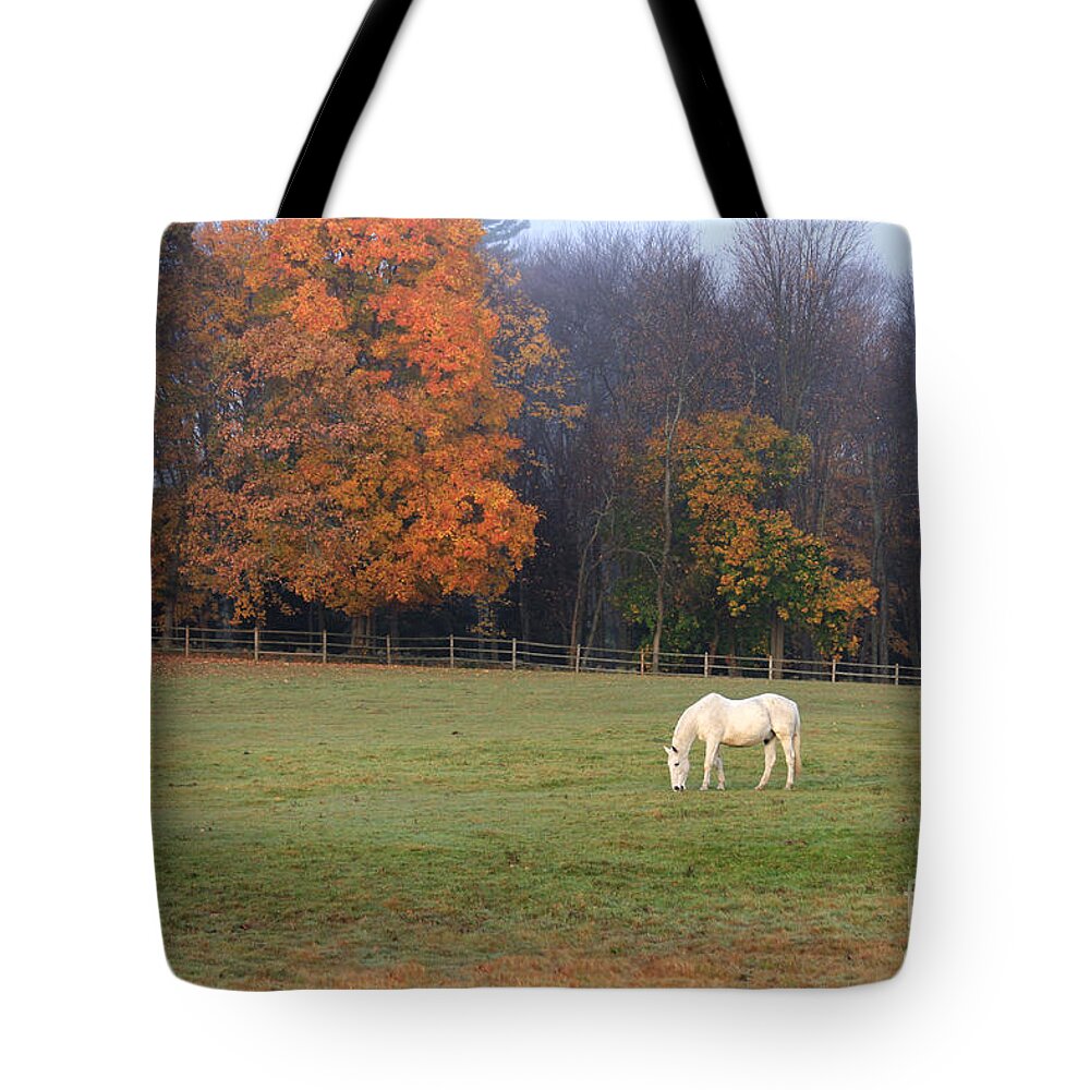 Horse Tote Bag featuring the photograph The Standout by Jayne Carney