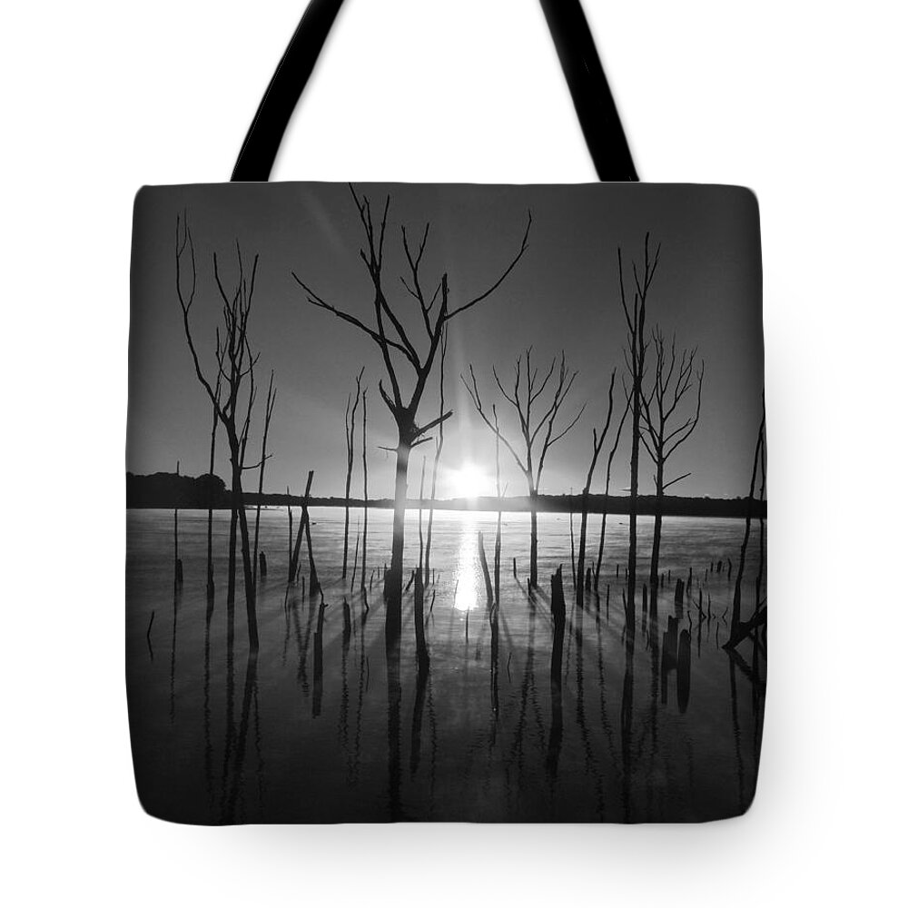 Manasquan Reservoir Tote Bag featuring the photograph The Star Arrives by Raymond Salani III