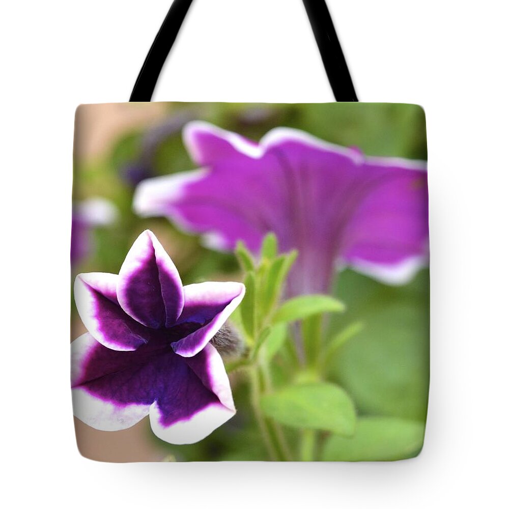 Petunia Tote Bag featuring the photograph The Star by Corinne Rhode
