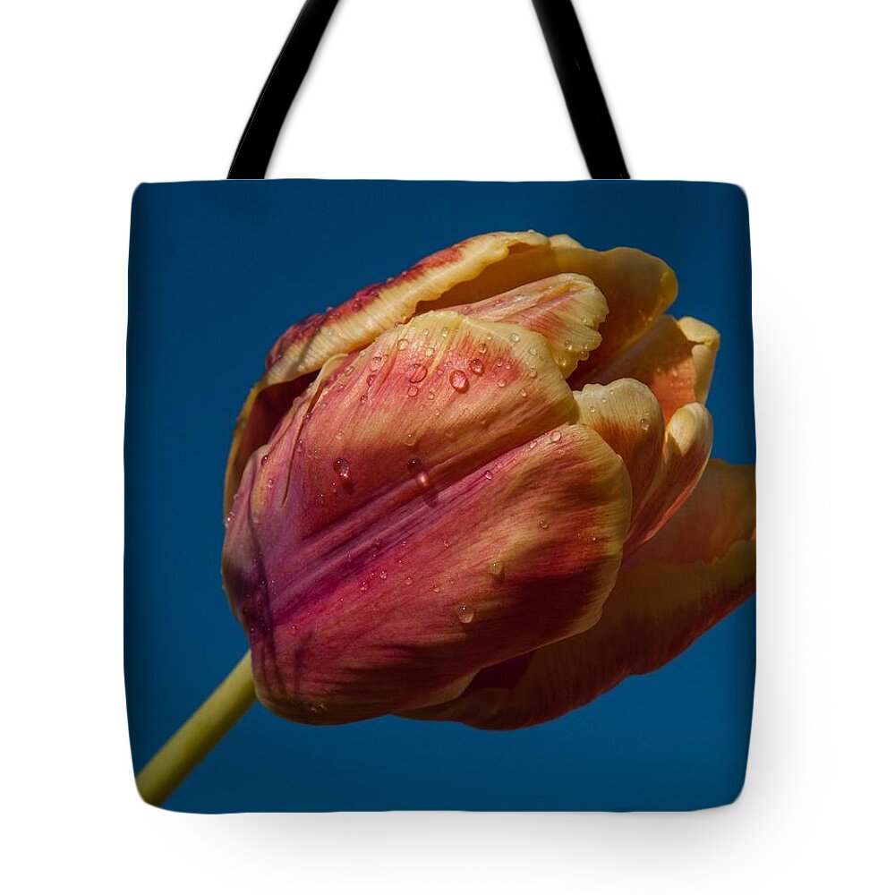 Tulip Tote Bag featuring the photograph The storm is over by Robert L Jackson