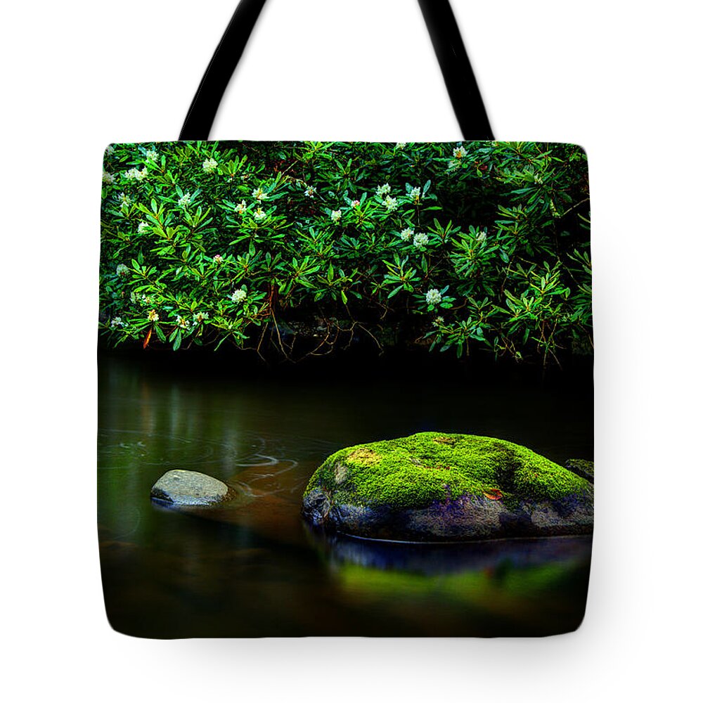 Quiet River Scene Tote Bag featuring the photograph The Stream's Embrace by Michael Eingle