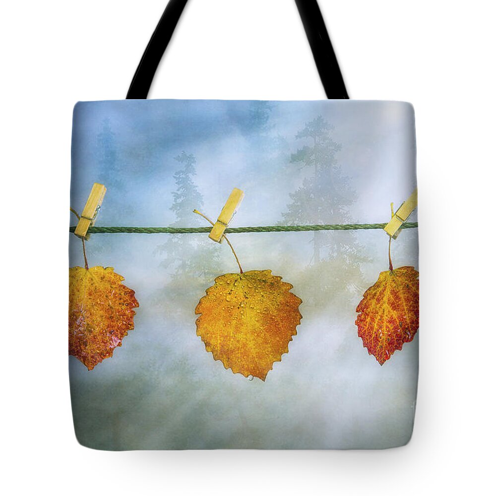 Art Tote Bag featuring the photograph The sun shines again by Veikko Suikkanen