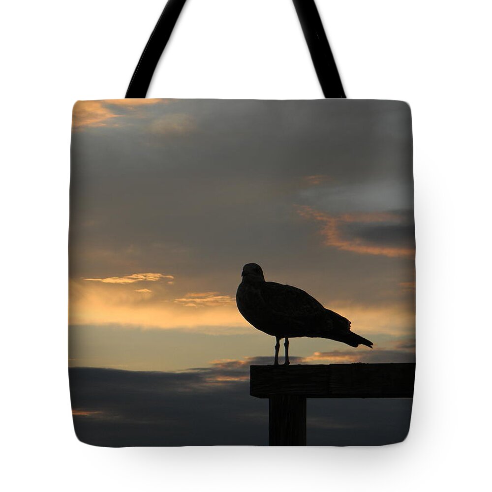 Sunset Tote Bag featuring the photograph The Sunset Perch by Jean Goodwin Brooks