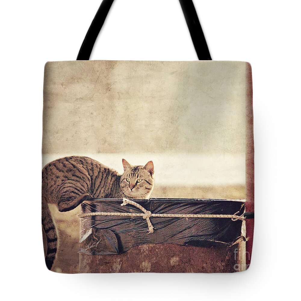 Cat Tote Bag featuring the photograph Dumpster Diver by Pam Holdsworth