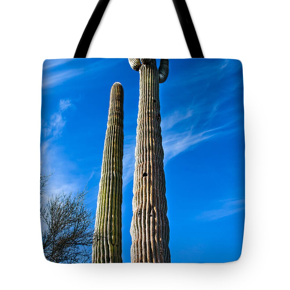 Cactus Tote Bag featuring the photograph The Tall Saguaro Cactus by Robert Bales