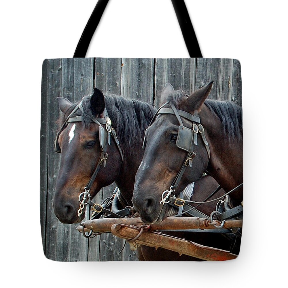 Horse Tote Bag featuring the photograph The Team by Ron Haist