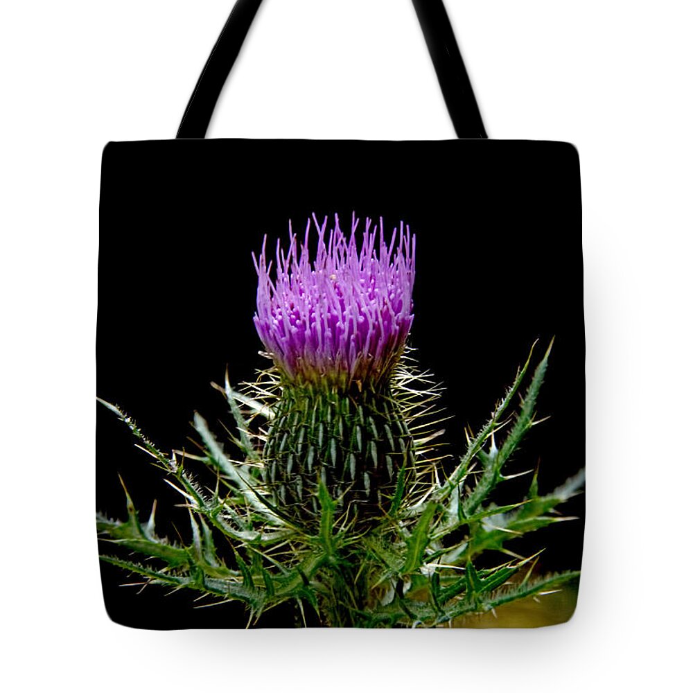 The Thistle Tote Bag featuring the photograph The Thistle by Jemmy Archer