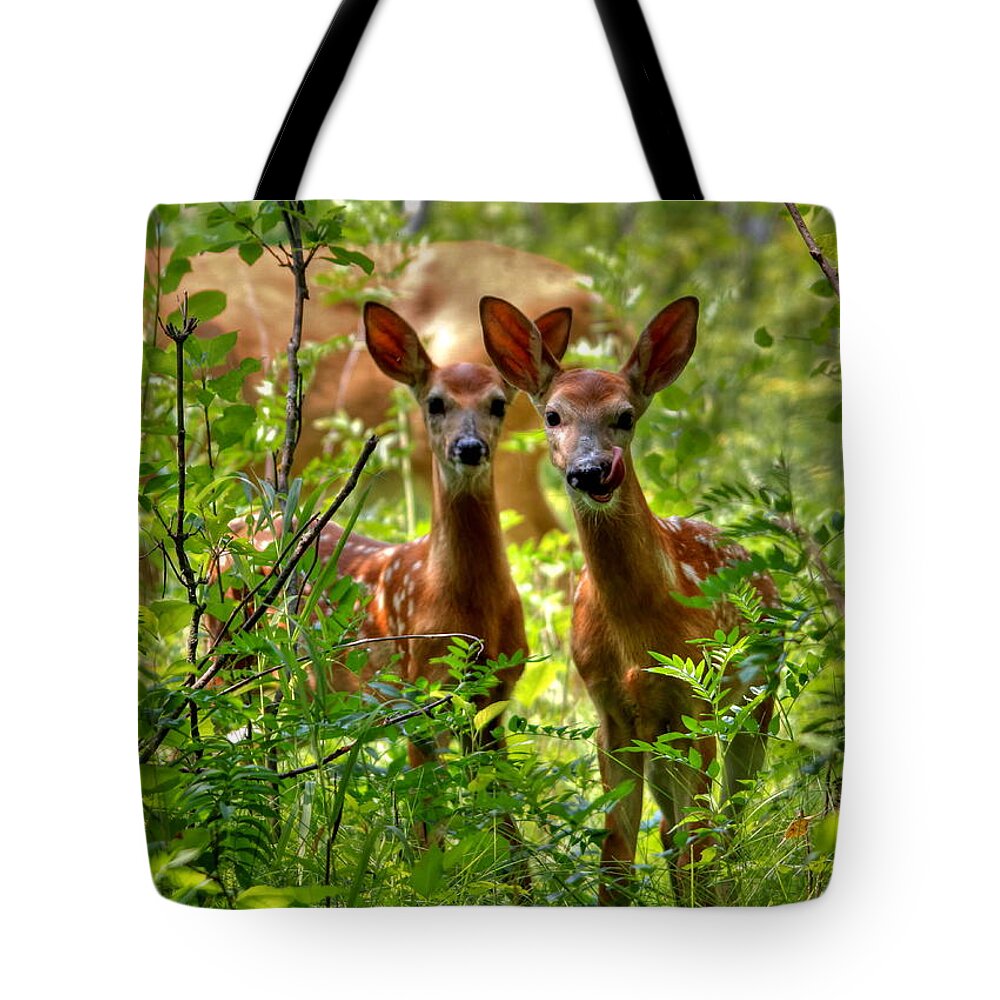 Whitetail Tote Bag featuring the photograph The Twins by Larry Trupp