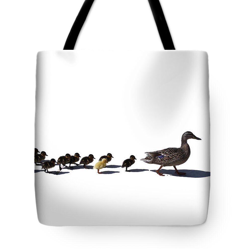 Animal Tote Bag featuring the photograph The Ugly Duckling by Lars Lentz