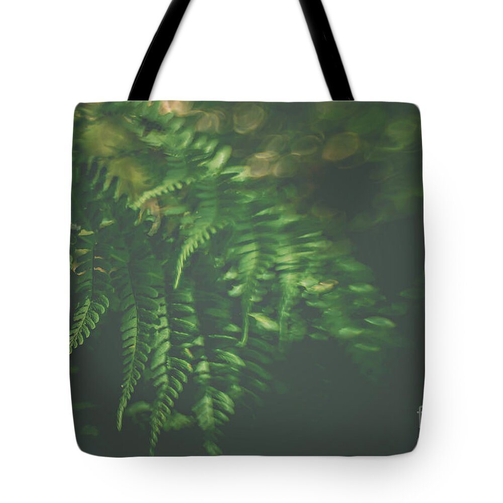 Fern Tote Bag featuring the photograph The Understory by Bethany Helzer