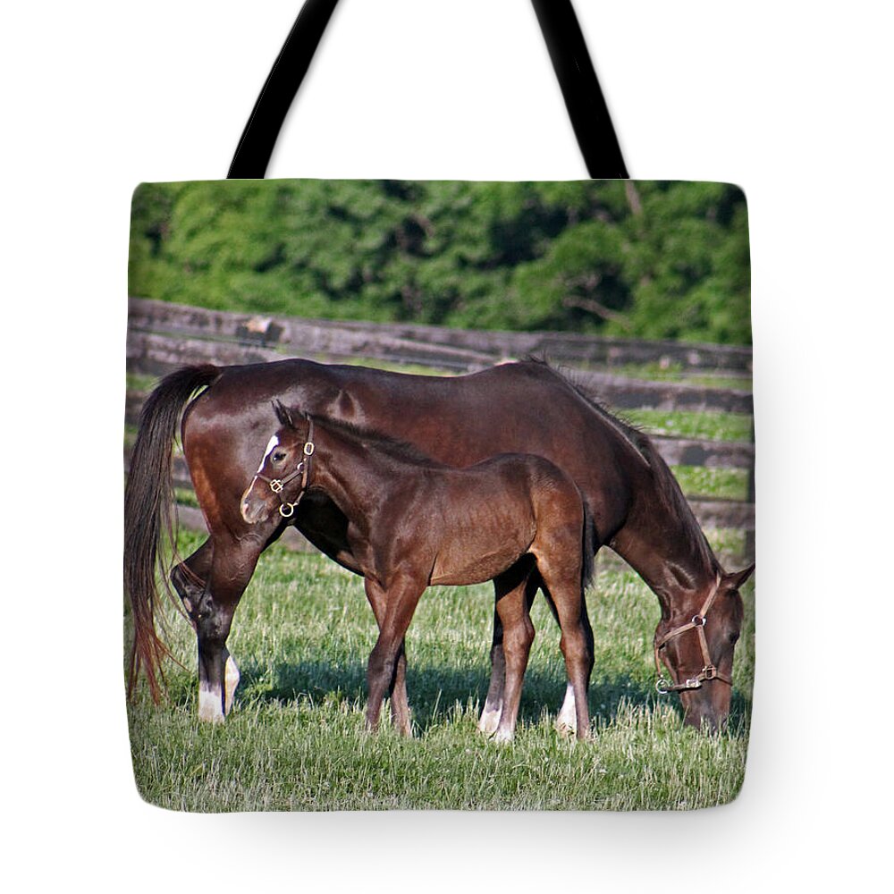 Horse Tote Bag featuring the photograph The union of one by Lily K