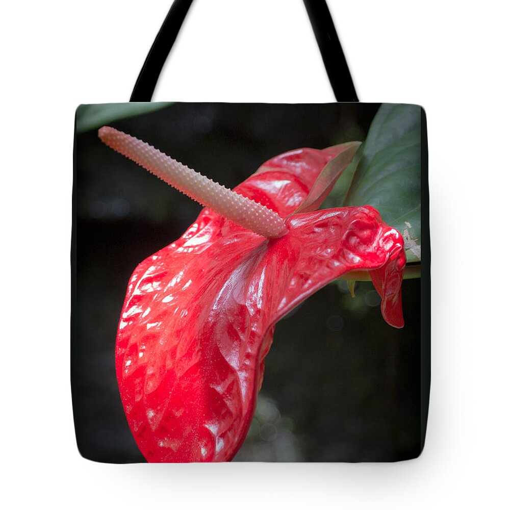 Antherium Tote Bag featuring the photograph The Unique Antherium by Richard Goldman