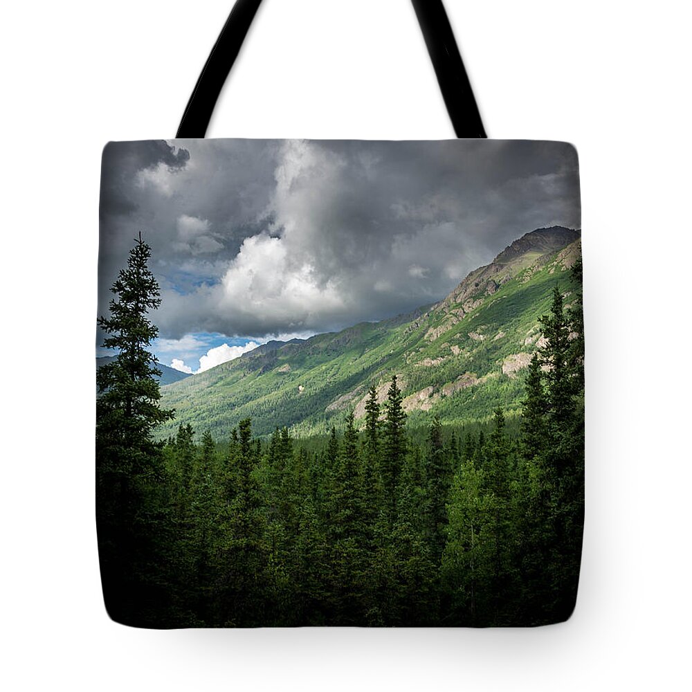Alaska Tote Bag featuring the photograph The Valley by Andrew Matwijec