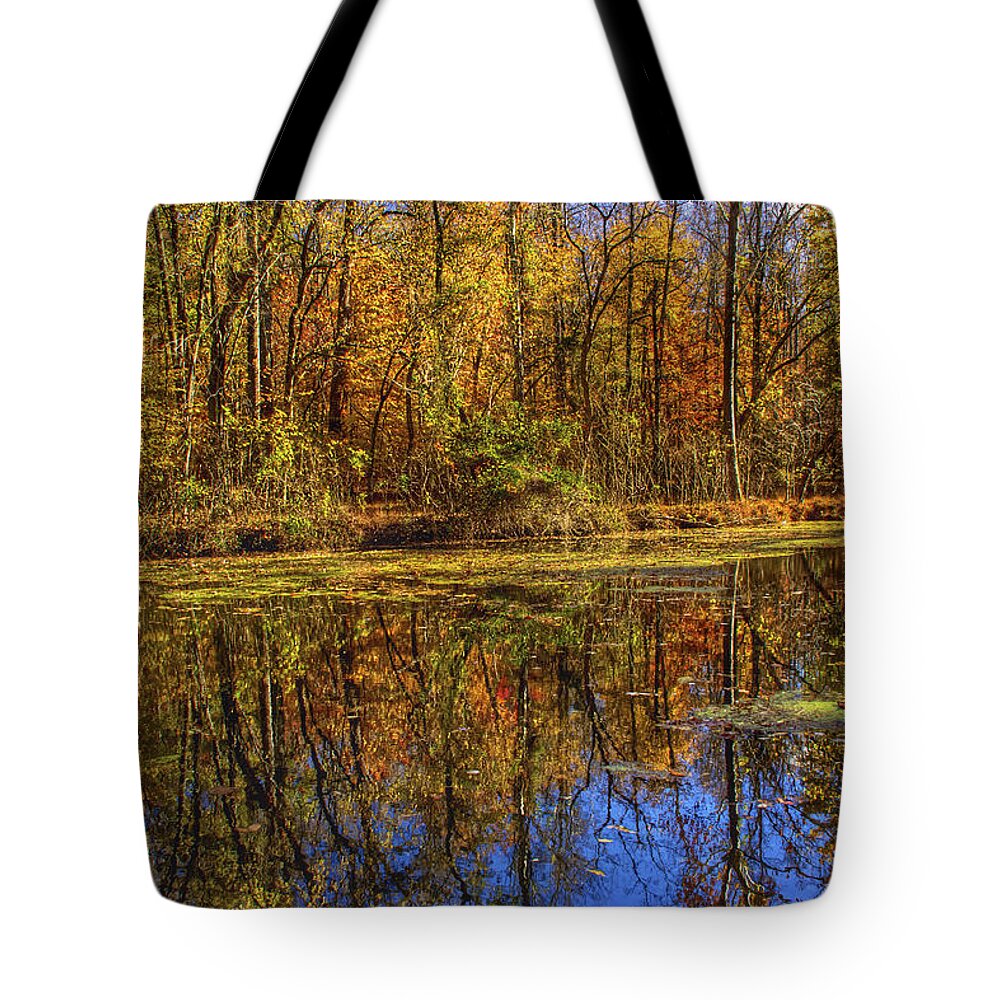 Autumn Tote Bag featuring the photograph The Vibrancy of Leaves by Kathi Isserman