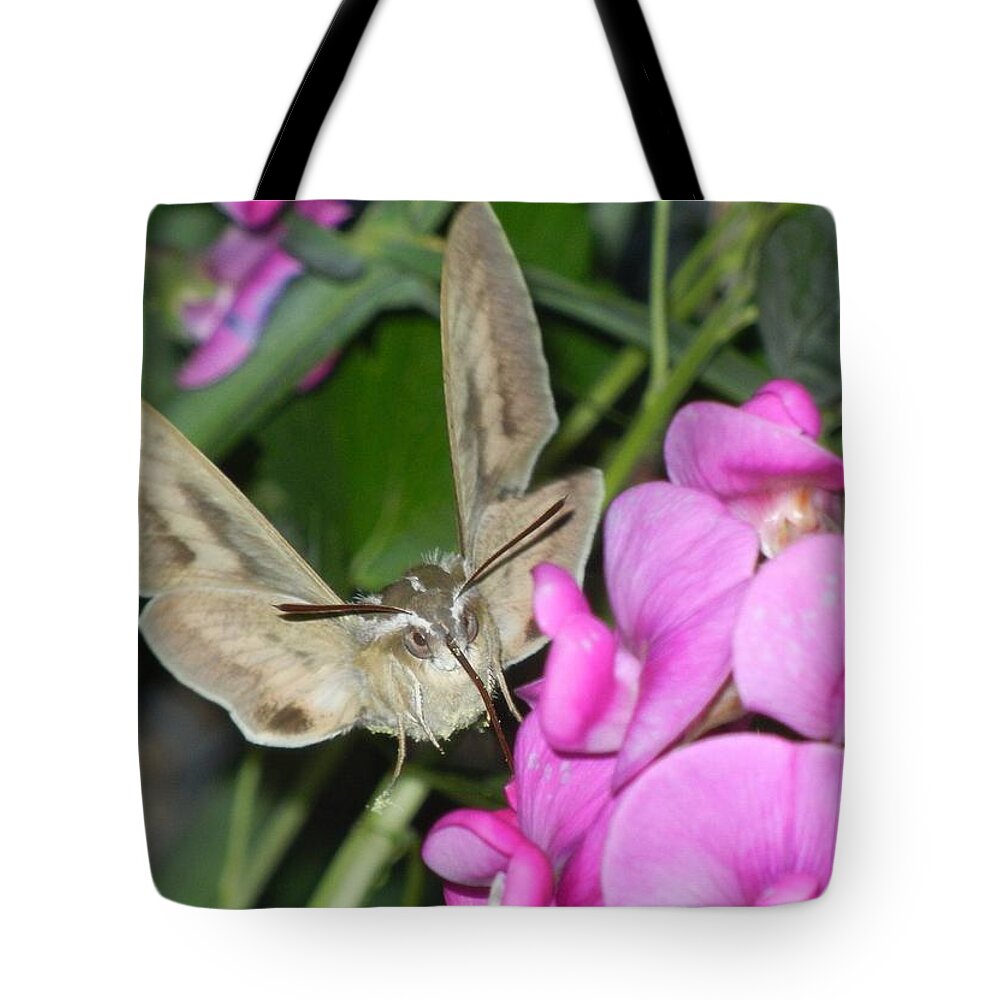 Hummingbird Tote Bag featuring the digital art The Visitor by Bobbie Barth
