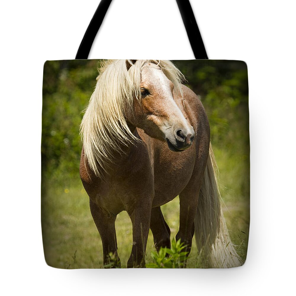 Wild Horse Tote Bag featuring the photograph The Watch by Carrie Cranwill