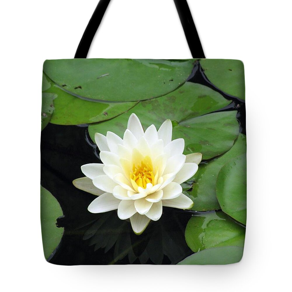 Water Lilies Tote Bag featuring the photograph The Water Lilies Collection - 01 by Pamela Critchlow
