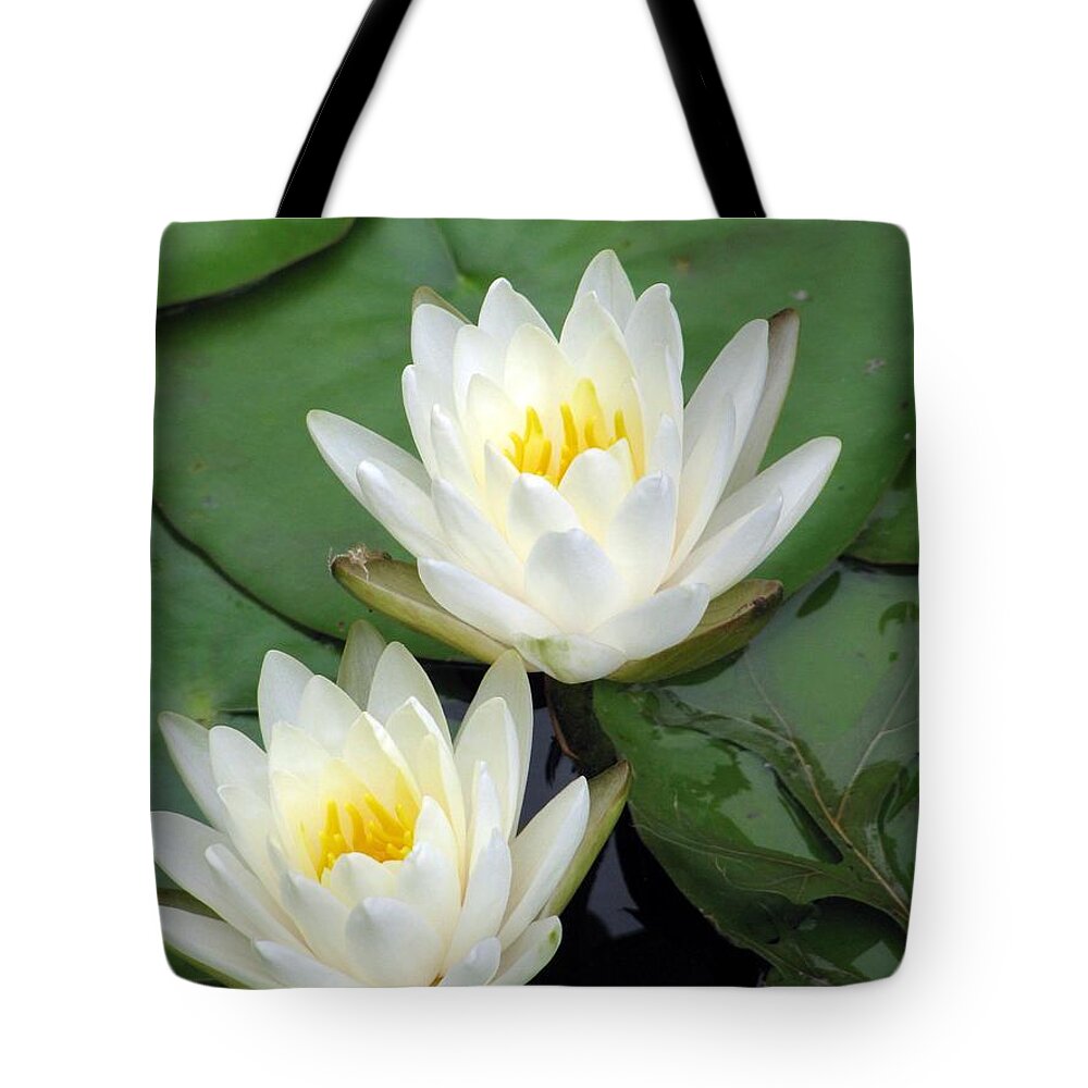 Water Lilies Tote Bag featuring the photograph The Water Lilies Collection - 12 by Pamela Critchlow