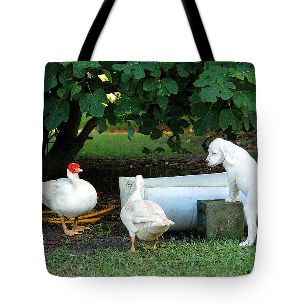 English Setter Tote Bag featuring the photograph The Watering Hole by Scott Hansen
