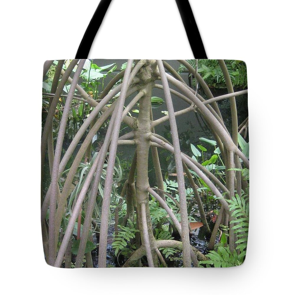 Water Tote Bag featuring the photograph The Watery Thunder Dome by Melissa McCrann