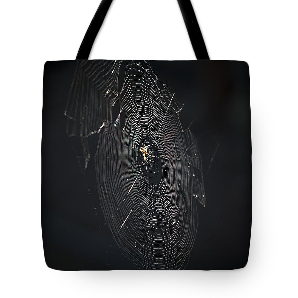 Spider Web Tote Bag featuring the photograph The Web by Ron Roberts