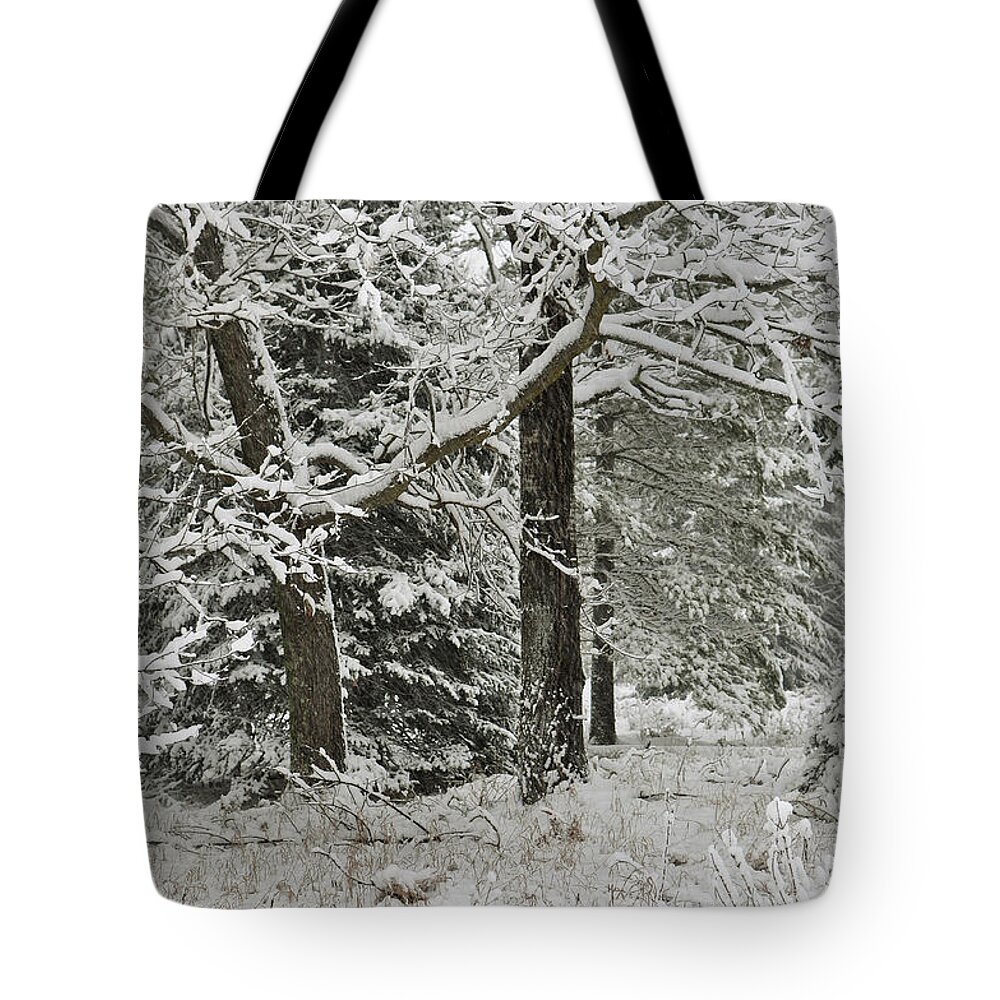 Snow Tote Bag featuring the photograph The Weight of Winter by Gwen Gibson