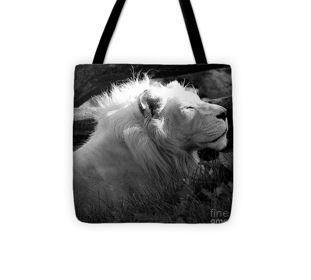 Marcia Lee Jones Tote Bag featuring the photograph The White King by Marcia Lee Jones