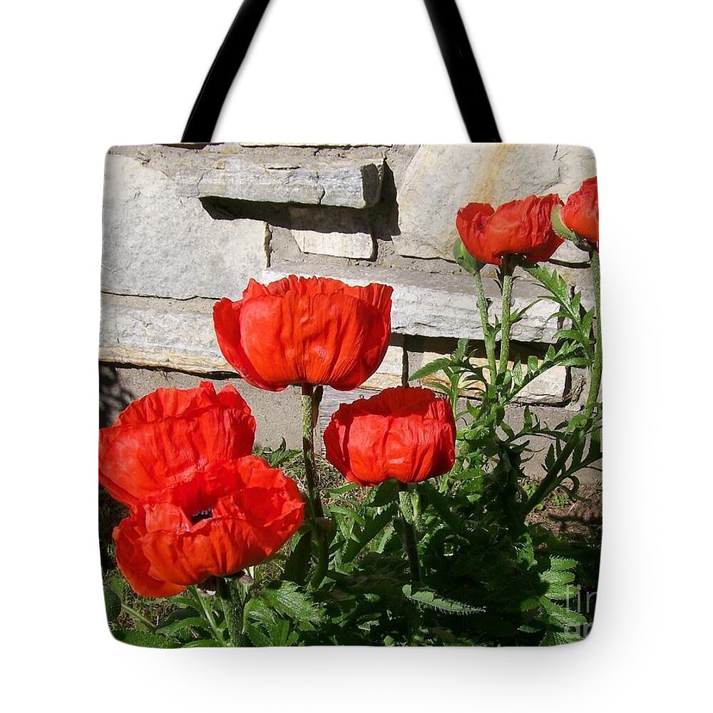 Poppies Tote Bag featuring the photograph The whole litter.... by Jackie Mueller-Jones