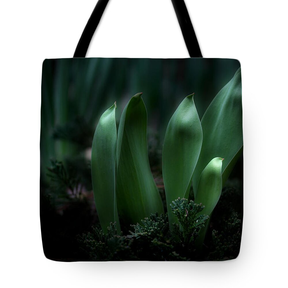 Garden Leaves Tote Bag featuring the photograph The Wonders Of Spring by Michael Eingle