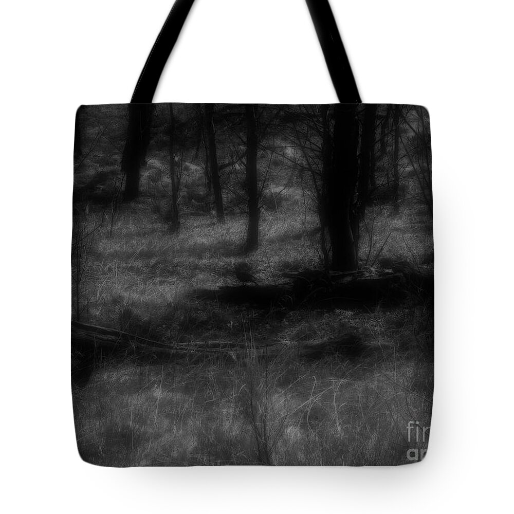 Colorado Tote Bag featuring the photograph The Woods Are Lovely Dark and Deep by RC DeWinter