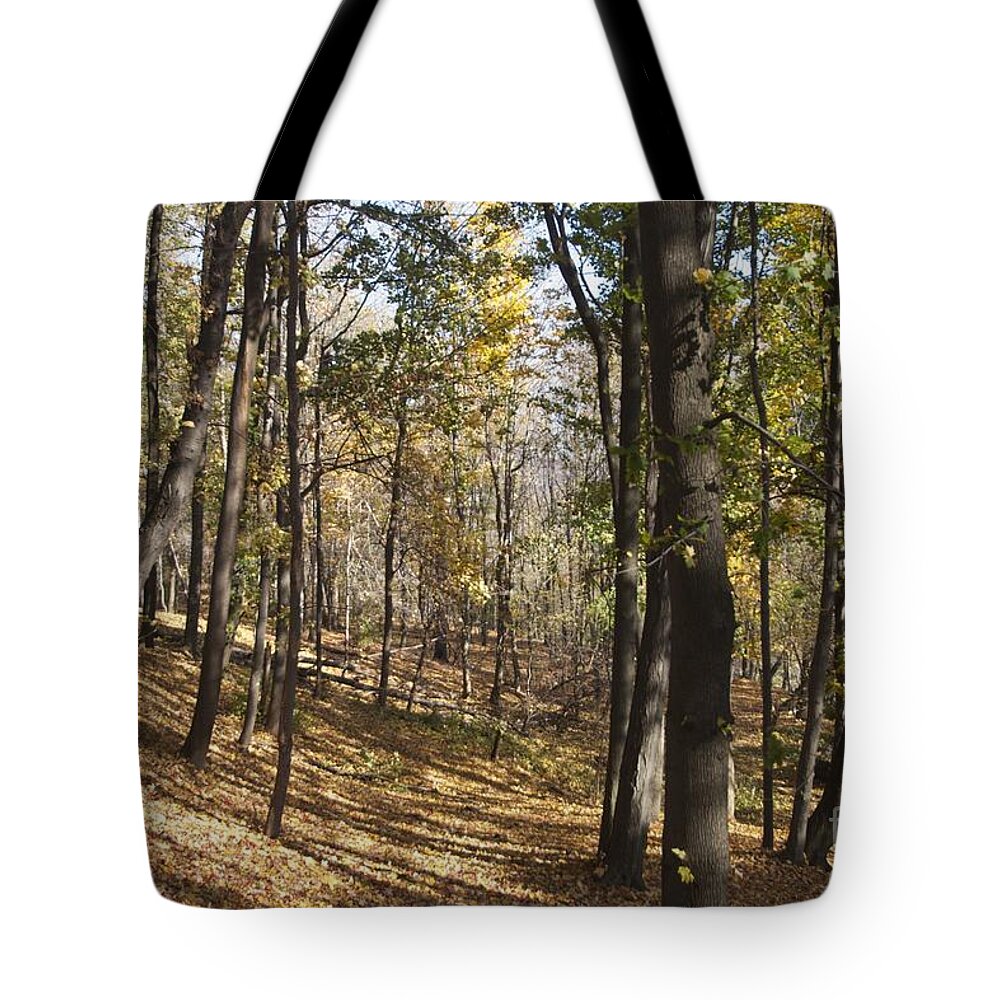 Landscape Tote Bag featuring the photograph The Woods by William Norton