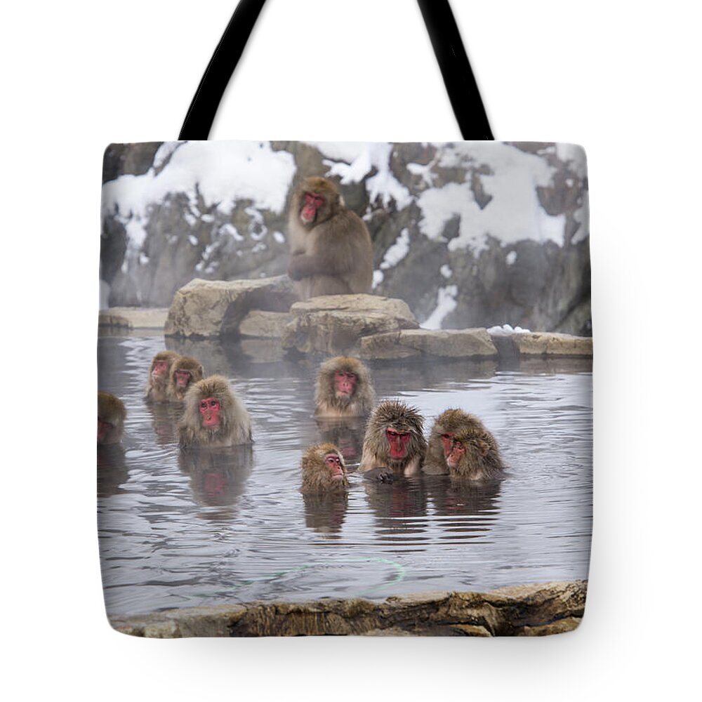 Snow Tote Bag featuring the photograph The World Of Snow Monkey by I Love Photo And Apple.