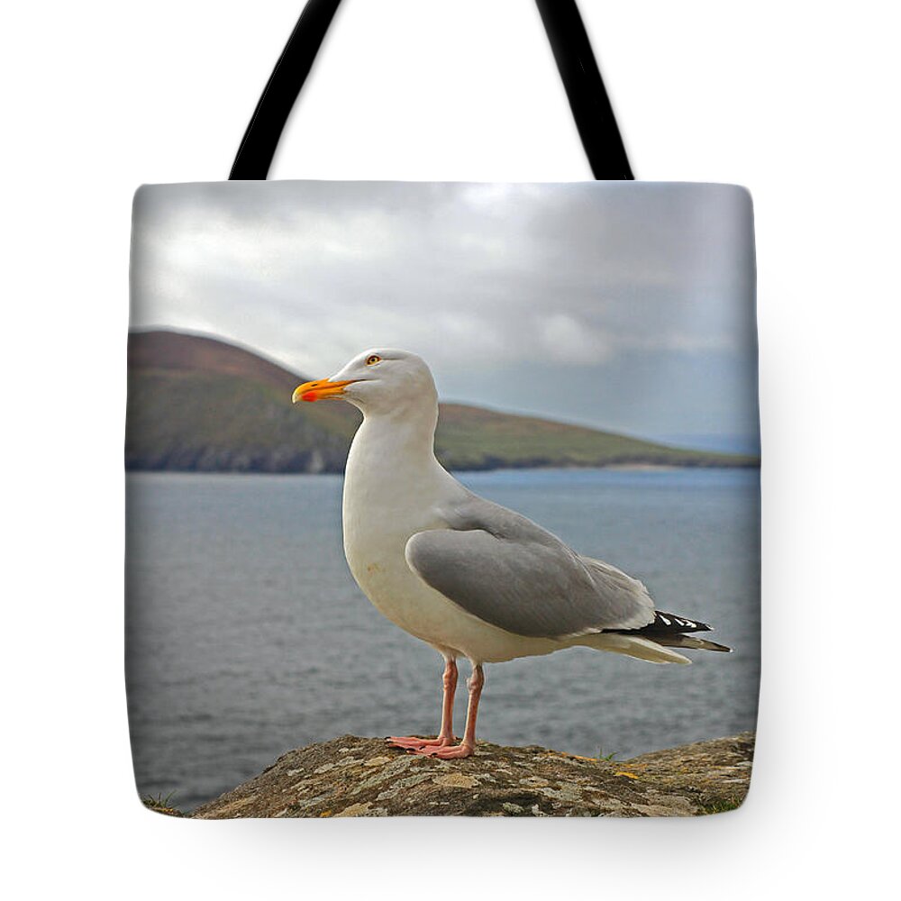 Things Are Looking Up Tote Bag featuring the photograph Things are Looking Up by Jennifer Robin