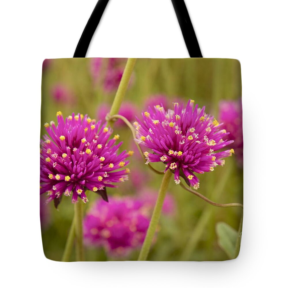 Pink Tote Bag featuring the photograph Tangled Up in Pink by Alice Mainville