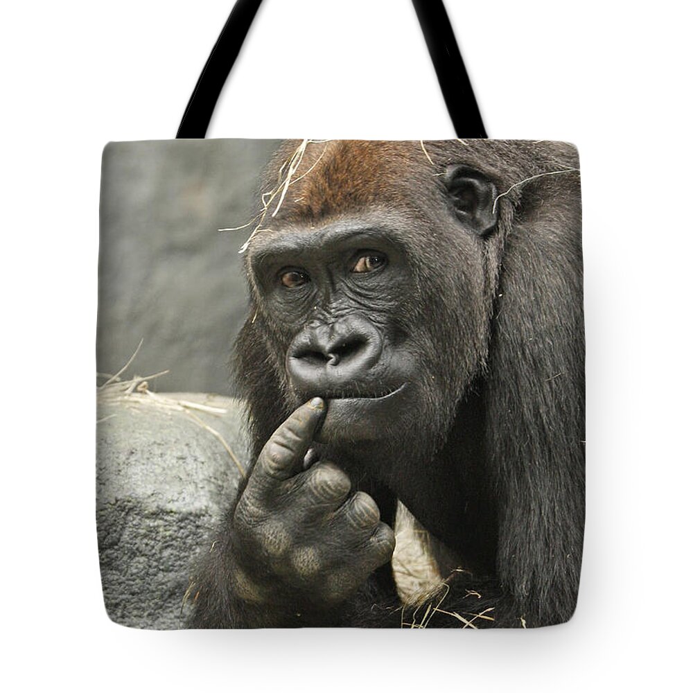 Gorilla Tote Bag featuring the photograph Thinking It Over by Patty Colabuono